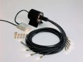 VP 33 � M 233