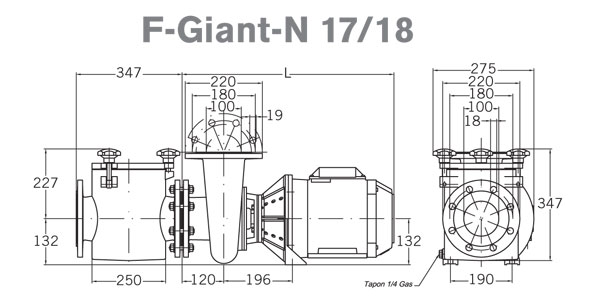 Габаритные и присоединительные размеры насоса PSH F-Giant 17