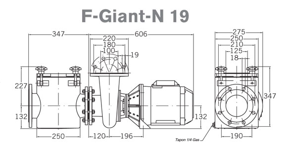 Габаритные и присоединительные размеры насоса PSH F-Giant-N 19