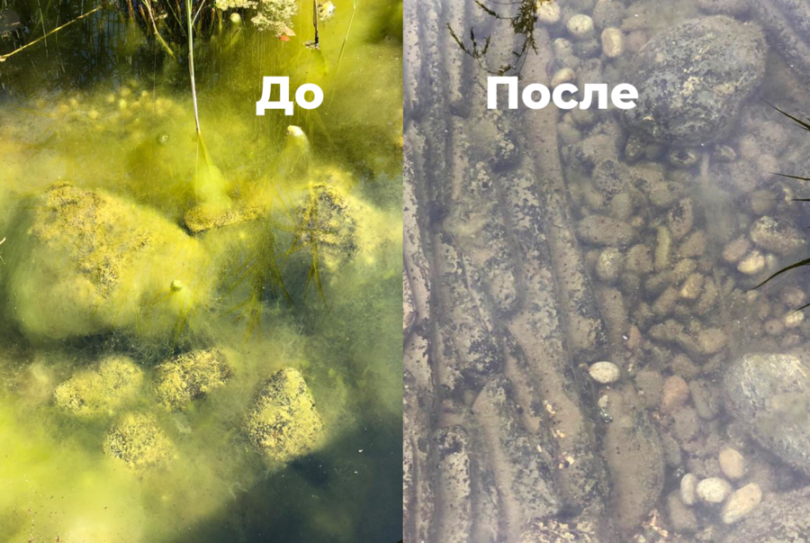 Средство против нитевидных водорослей 1,0 kg (на 32 м³) Арт. 12929